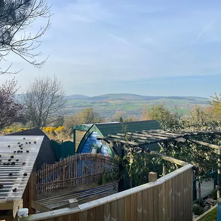 Hotel Glamping In The 2Nd Field à Aughrim Extérieur photo